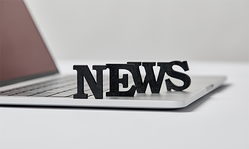 The home fitness craze drives demand surge, with domestic dumbbell sales in 2024 up 35% year-on-year